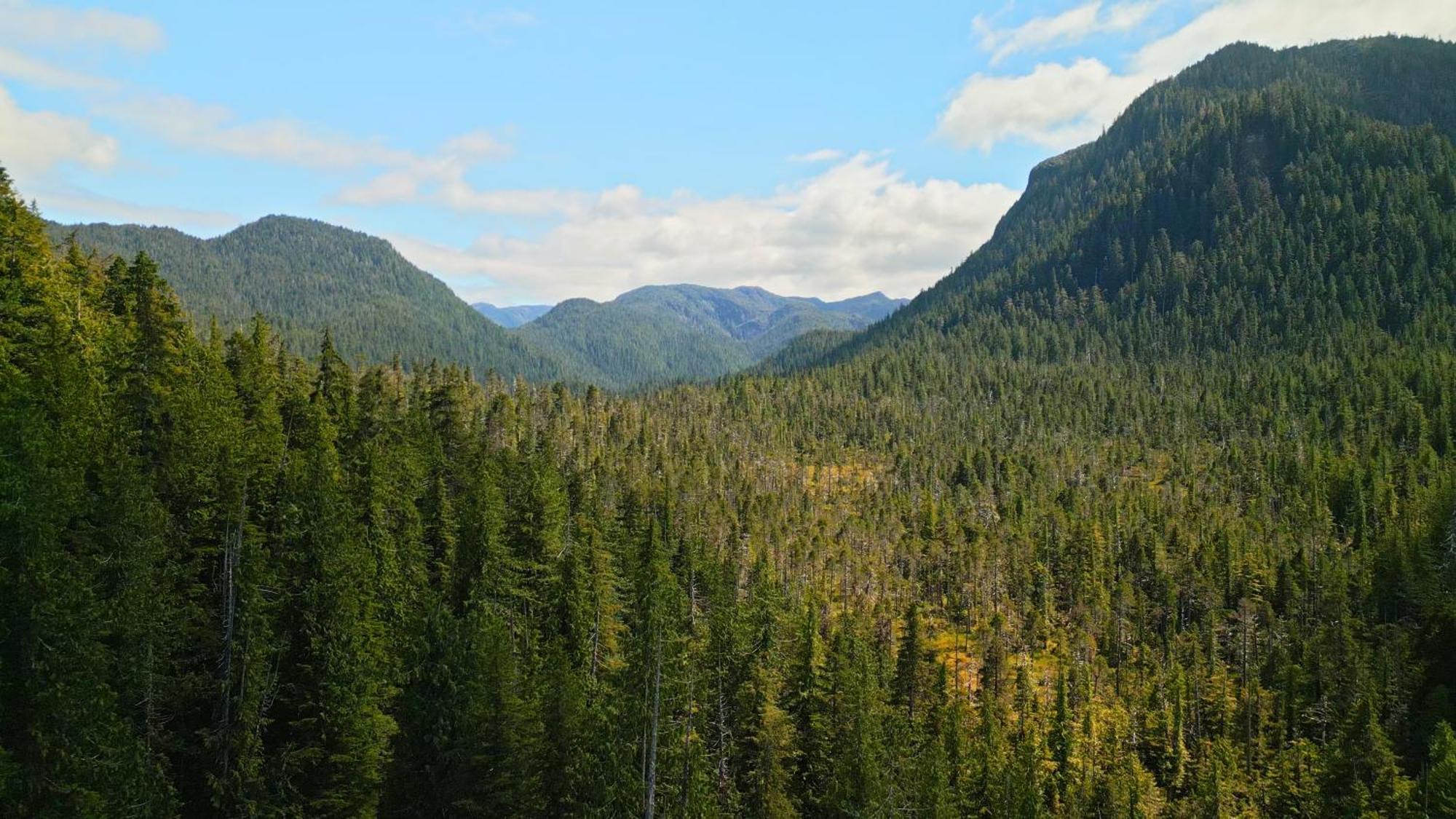 Sportsman'S Cove Lodge Ketchikan Zewnętrze zdjęcie