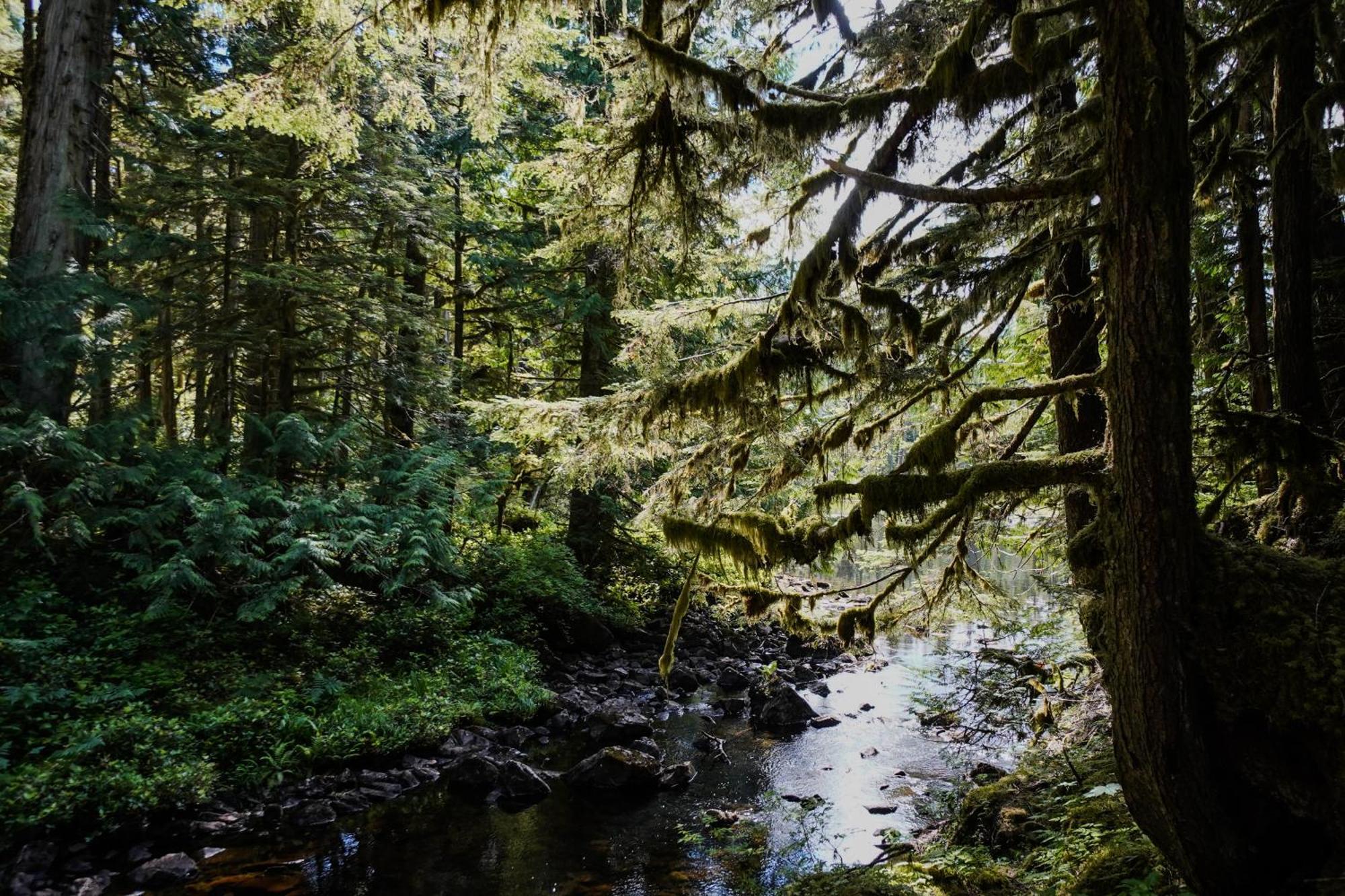 Sportsman'S Cove Lodge Ketchikan Zewnętrze zdjęcie